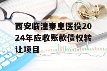 西安临潼秦皇医投2024年应收账款债权转让项目