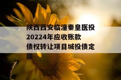 陕西西安临潼秦皇医投20224年应收账款债权转让项目城投债定融