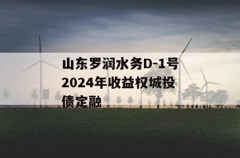 山东罗润水务D-1号2024年收益权城投债定融