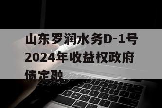 山东罗润水务D-1号2024年收益权政府债定融