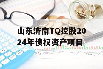 山东济南TQ控股2024年债权资产项目