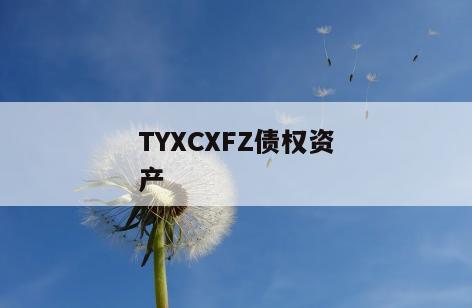 TYXCXFZ债权资产