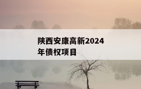 陕西安康高新2024年债权项目