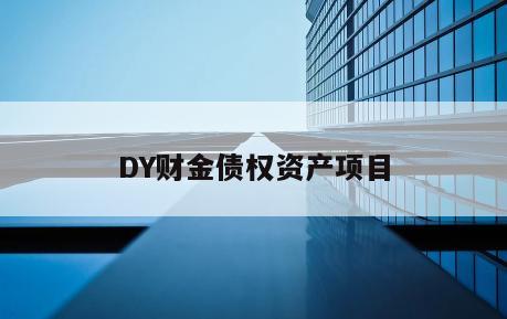 DY财金债权资产项目