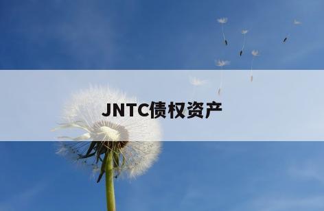 JNTC债权资产