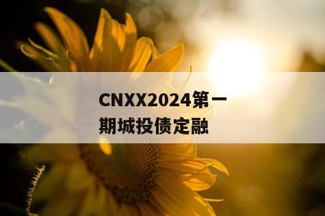 CNXX2024第一期城投债定融