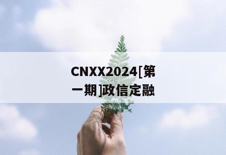 CNXX2024[第一期]政信定融