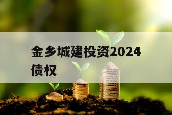 金乡城建投资2024债权