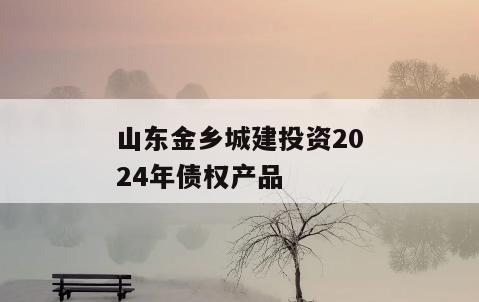 山东金乡城建投资2024年债权产品