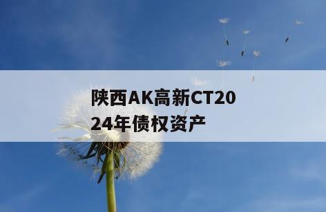 陕西AK高新CT2024年债权资产