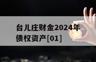 台儿庄财金2024年债权资产[01]