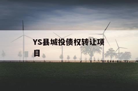 YS县城投债权转让项目