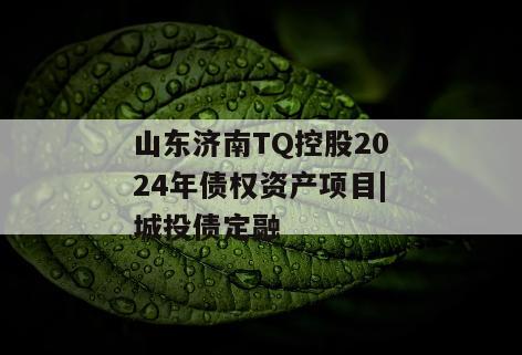 山东济南TQ控股2024年债权资产项目|城投债定融
