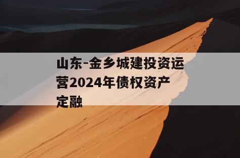 山东-金乡城建投资运营2024年债权资产定融