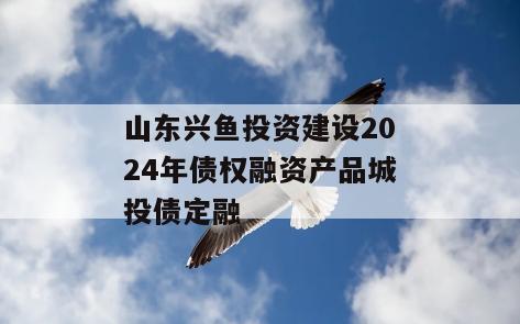 山东兴鱼投资建设2024年债权融资产品城投债定融