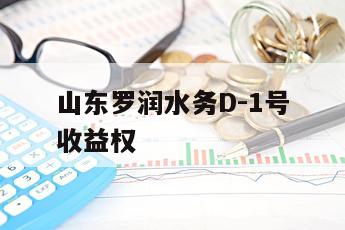 山东罗润水务D-1号收益权