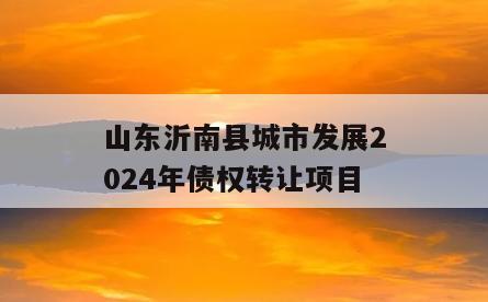 山东沂南县城市发展2024年债权转让项目