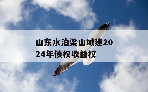 山东水泊梁山城建2024年债权收益权