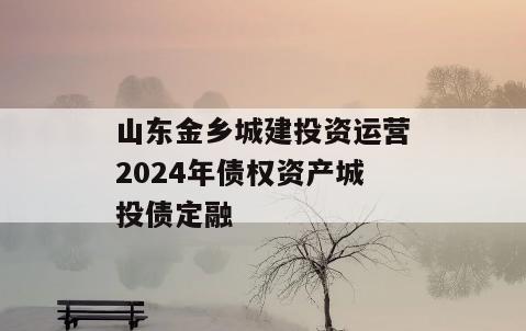 山东金乡城建投资运营2024年债权资产城投债定融