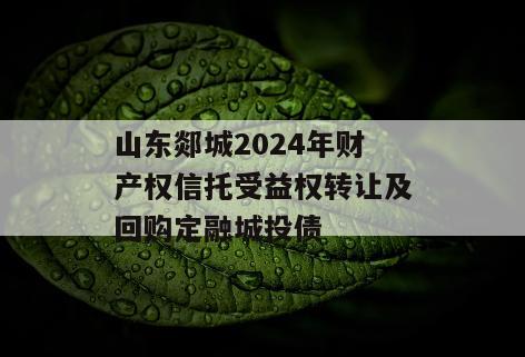 山东郯城2024年财产权信托受益权转让及回购定融城投债