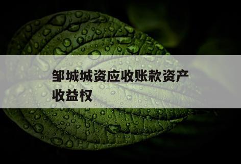 邹城城资应收账款资产收益权
