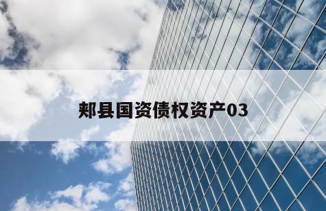 郏县国资债权资产03