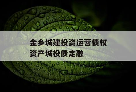 金乡城建投资运营债权资产城投债定融