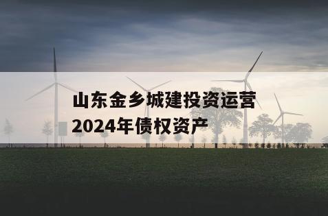 山东金乡城建投资运营2024年债权资产