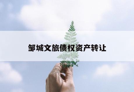 邹城文旅债权资产转让