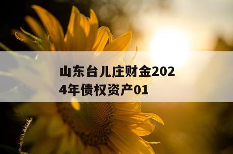 山东台儿庄财金2024年债权资产01