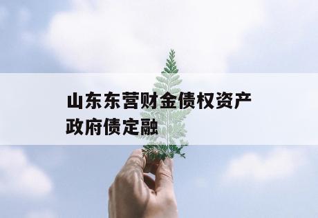 山东东营财金债权资产政府债定融