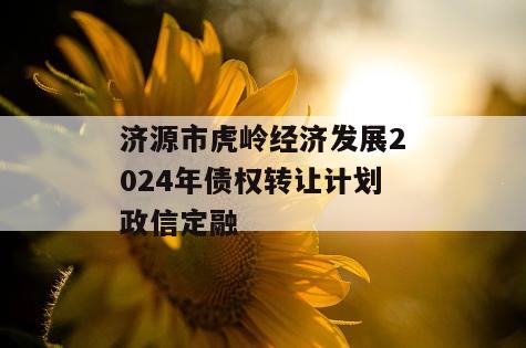 济源市虎岭经济发展2024年债权转让计划政信定融