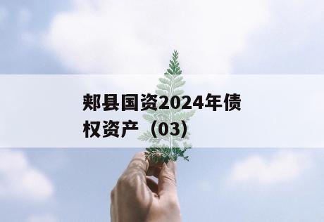 郏县国资2024年债权资产（03）