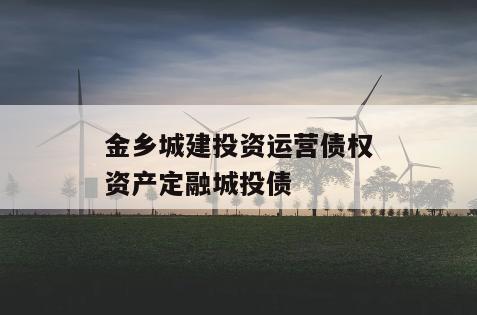 金乡城建投资运营债权资产定融城投债