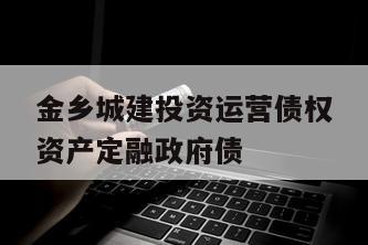 金乡城建投资运营债权资产定融政府债