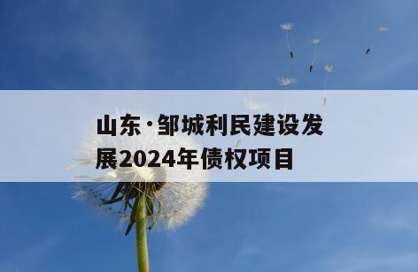山东·邹城利民建设发展2024年债权项目