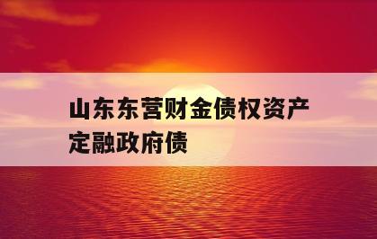 山东东营财金债权资产定融政府债