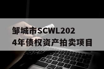邹城市SCWL2024年债权资产拍卖项目