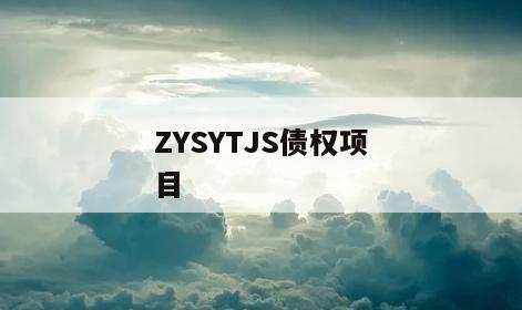 ZYSYTJS债权项目