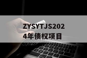 ZYSYTJS2024年债权项目