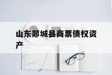 山东郯城县商票债权资产