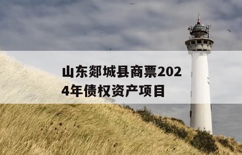 山东郯城县商票2024年债权资产项目