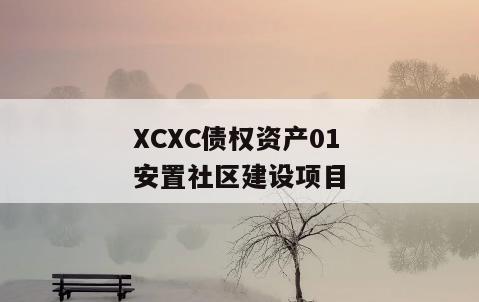 XCXC债权资产01安置社区建设项目