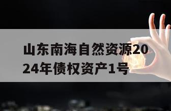 山东南海自然资源2024年债权资产1号