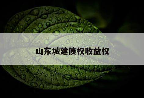 山东城建债权收益权