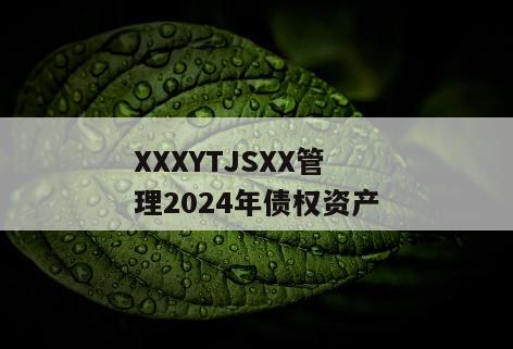 XXXYTJSXX管理2024年债权资产