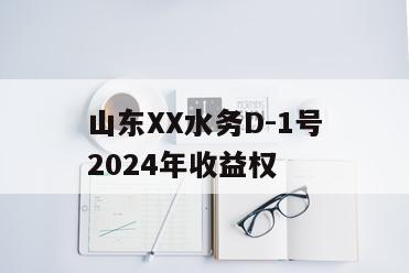 山东XX水务D-1号2024年收益权