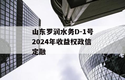 山东罗润水务D-1号2024年收益权政信定融