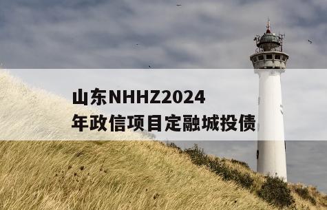 山东NHHZ2024年政信项目定融城投债