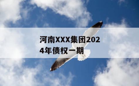 河南XXX集团2024年债权一期